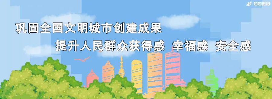 贵阳中考游泳项目·技术规范深度解析:规则、犯规与备考策略全攻略 教育招生