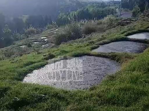 环保监管高压下的养猪场“合规幻象”:技术规范与执法缝隙深度剖析 新闻 环保监管高压下的养猪场“合规幻象”:技术规范与执法缝隙深度剖析 新闻