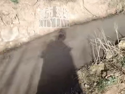 环保监管高压下的养猪场“合规幻象”:技术规范与执法缝隙深度剖析 新闻 环保监管高压下的养猪场“合规幻象”:技术规范与执法缝隙深度剖析 新闻