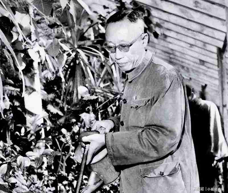  乾隆鼻烟壶鉴伪：1961年北京饭局上的文物判断方法论 文化旅游