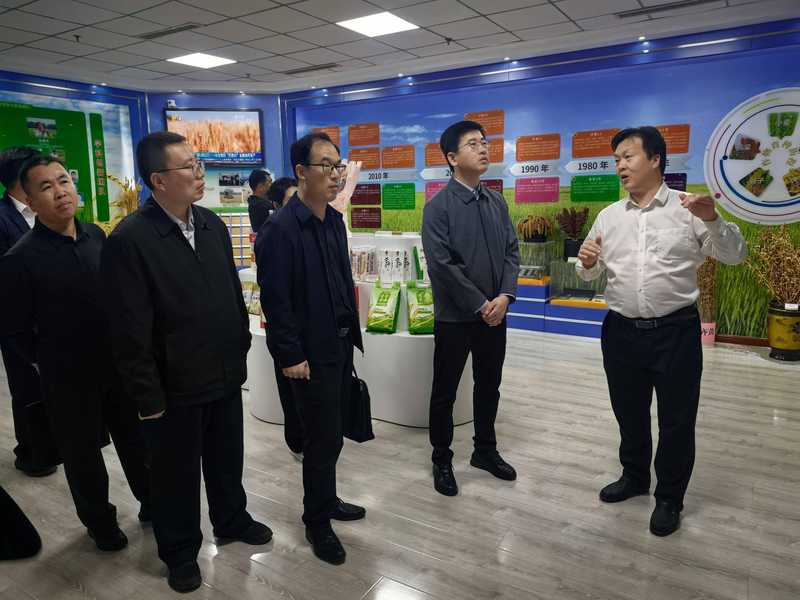 一颗甘薯的甜蜜事业：从盐碱地到振兴路的无棣实践 新闻