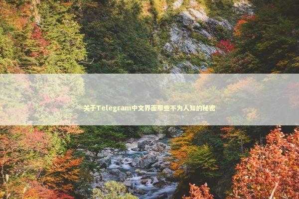 关于Telegram中文界面那些不为人知的秘密