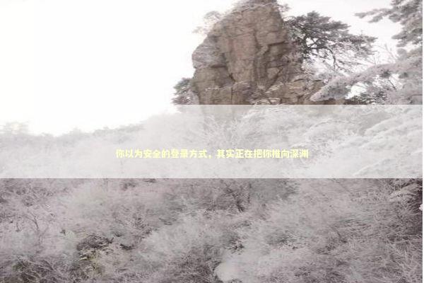 你以为安全的登录方式,其实正在把你推向深渊 你以为安全的登录方式,其实正在把你推向深渊 IT技术