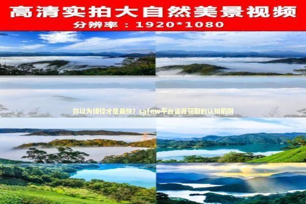 你以为捷径才是最快？safew平台资源获取的认知陷阱
