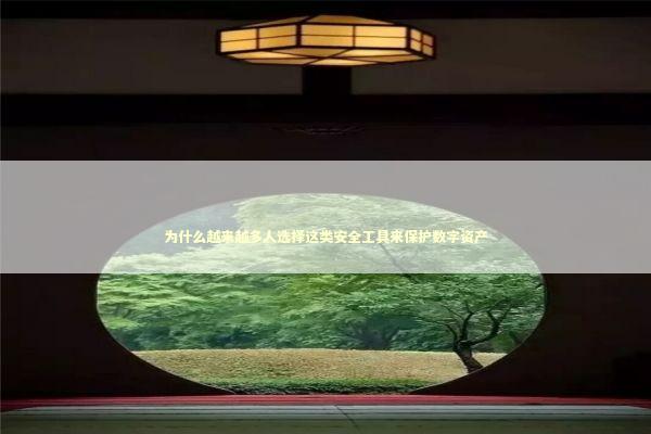 为什么越来越多人选择这类安全工具来保护数字资产 为什么越来越多人选择这类安全工具来保护数字资产 IT技术